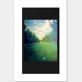 Apple Orchard in Spring Posters and Art